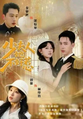 少夫人她不好惹在线观看
