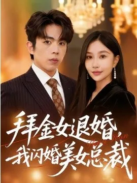 拜金女退婚，我闪婚美女总裁在线观看