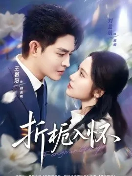 折栀入怀在线观看