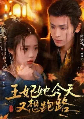 王妃她今天又想跑路在线观看