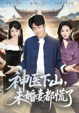 神医下山，未婚妻都慌了在线观看