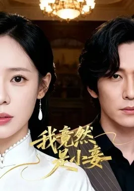 我竟然是小妾在线观看