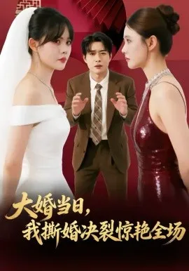 大婚当日,我撕婚决裂惊艳全场在线观看