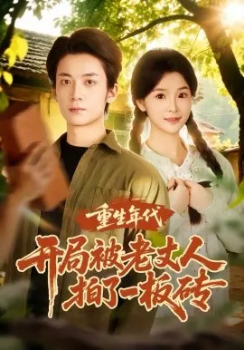 重生年代开局被老丈人拍了一板砖在线观看
