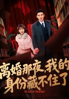 离婚那夜，我的身份藏不住了在线观看
