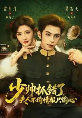 少帅抓错了，夫人不偷情报只偷心在线观看