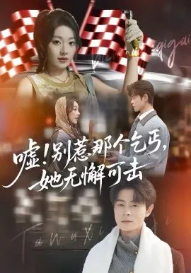 嘘！别惹那个乞丐，她无懈可击在线观看