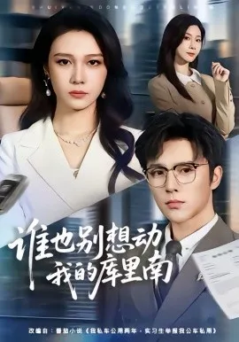 谁也别想动我的库里南在线观看
