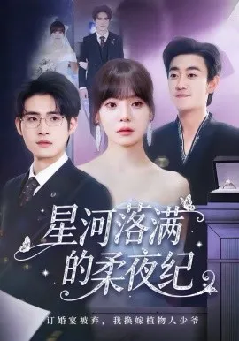 星河落满的柔夜纪在线观看