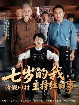 七岁的我，请假回村主持红白事在线观看