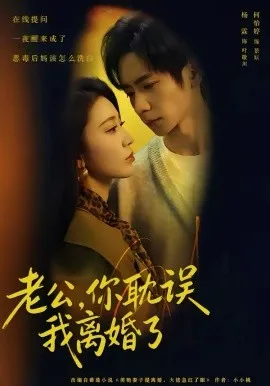 老公，你耽误我离婚了在线观看