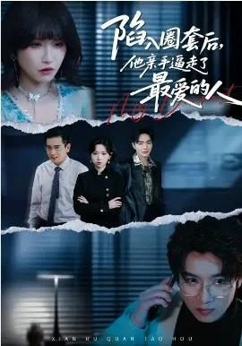 陷入圈套后，他亲手逼走了最爱的人在线观看