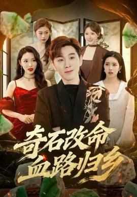 奇石改命血路归乡在线观看