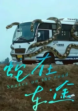 蛇在车途在线观看