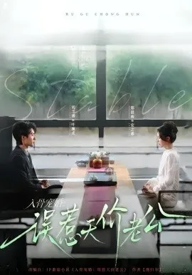入骨宠婚：误惹天价老公在线观看