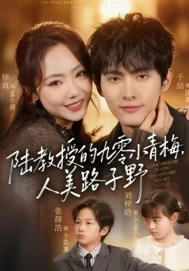 陆教授的九零小青梅，人美路子野在线观看