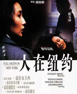人在纽约[电影解说]在线观看
