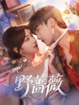 野蔷薇在线观看