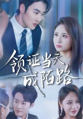 领证当天成陌路在线观看