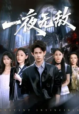 一夜无敌在线观看