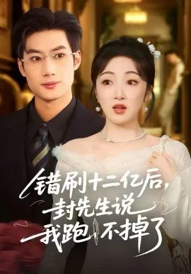 错刷十二亿后，封先生说我跑不掉了在线观看