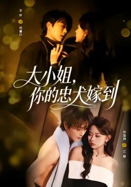 大小姐，你的忠犬嫁到在线观看