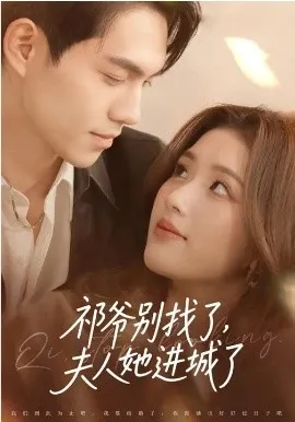 祁爷别找了，夫人她进城了在线观看