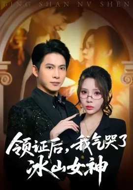领证后，我气哭了冰山女神在线观看