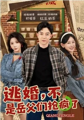 逃婚，不，是岳父们抢疯了在线观看