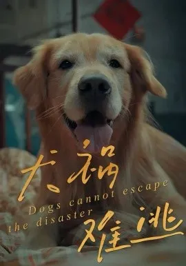 犬祸难逃在线观看