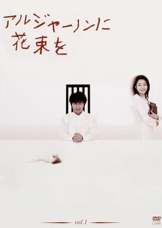 献给阿尔吉侬的花束在线观看
