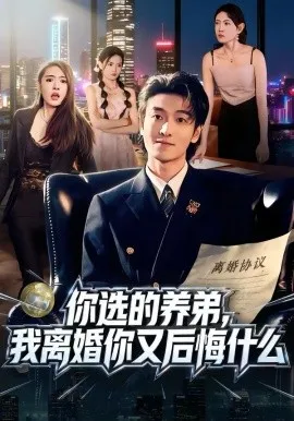 你选的养弟，我离婚你又后悔什么在线观看