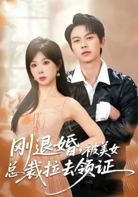 刚退婚,被美女总裁拉去领证在线观看