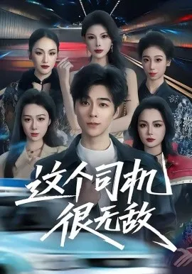 这个司机很无敌在线观看