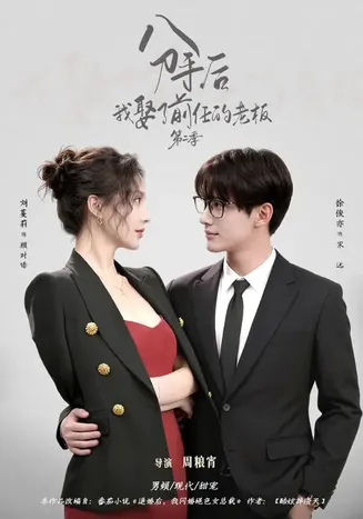 分手后，我娶了前任的老板第二季在线观看