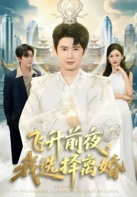 飞升前夜,我选择离婚在线观看