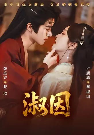淑因2026在线观看