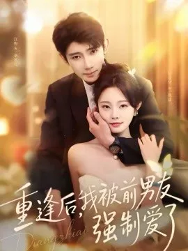 重逢后，我被前男友强制爱了在线观看