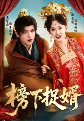 榜下捉婿在线观看