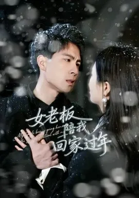 女老板陪我回家过年在线观看