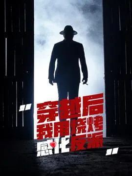 穿越后我用烧烤感化反派在线观看