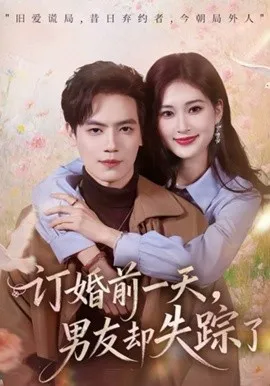 订婚前一天，男友却失踪了在线观看