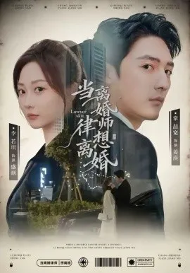 当离婚律师想离婚在线观看