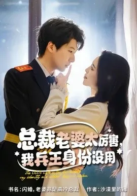 总裁老婆太厉害,我兵王身份没用在线观看