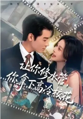 让你修水管，你拿下高冷校花在线观看
