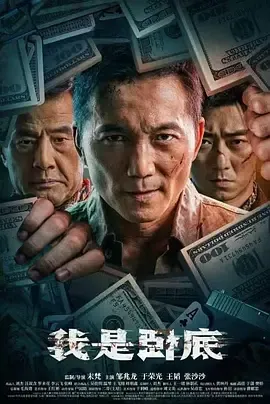 我是卧底[电影解说]在线观看
