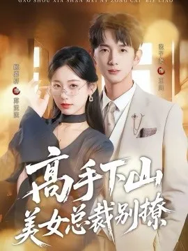 高手下山美女总裁别撩在线观看