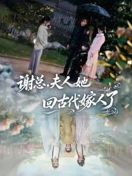 谢总，夫人她回古代嫁人了在线观看