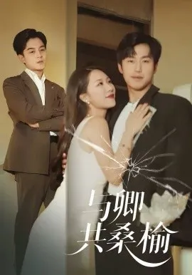 与卿共桑榆在线观看