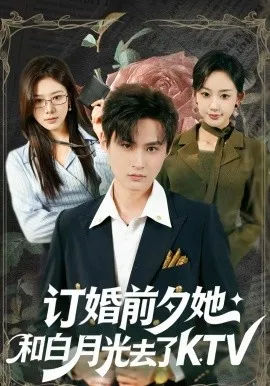 订婚前夕她和白月光去了KTV在线观看